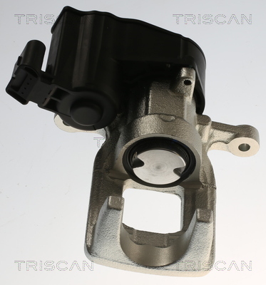 TRISCAN Bremssattel