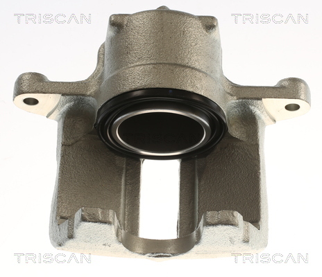 TRISCAN Bremssattel