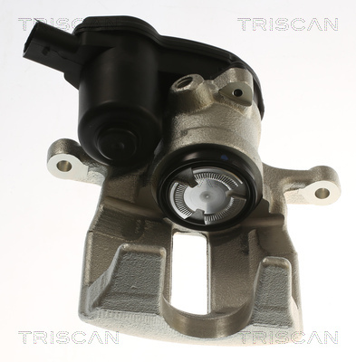 TRISCAN Bremssattel