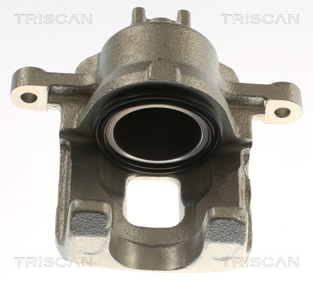 TRISCAN Bremssattel