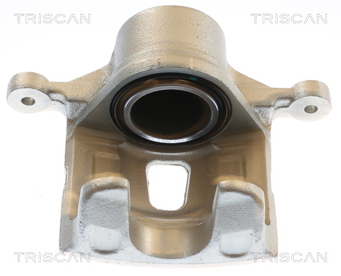 TRISCAN Bremssattel