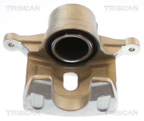 TRISCAN Bremssattel