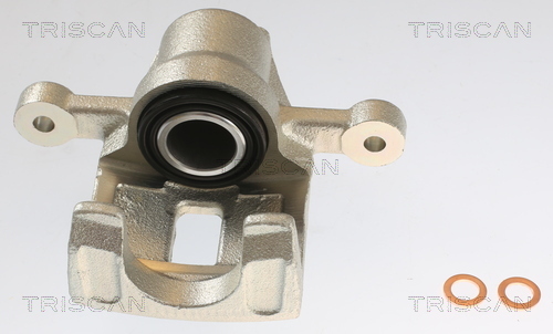 TRISCAN Bremssattel