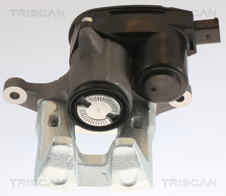 TRISCAN Bremssattel