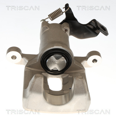 TRISCAN Bremssattel
