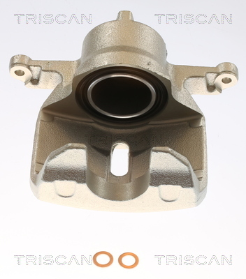 TRISCAN Bremssattel