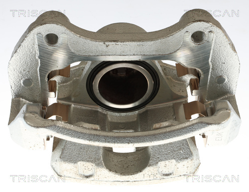 TRISCAN Bremssattel