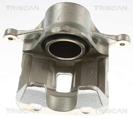 TRISCAN Bremssattel