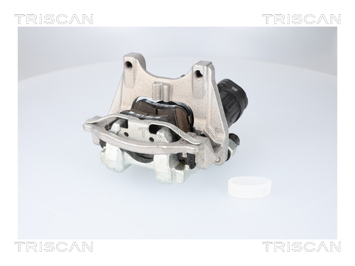 TRISCAN Bremssattel