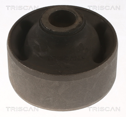 TRISCAN Lagerung, Lenker