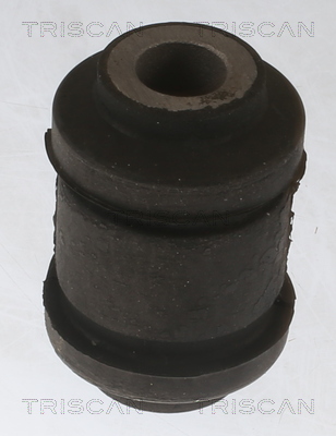 TRISCAN Lagerung, Lenker