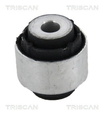 TRISCAN Lagerung, Lenker