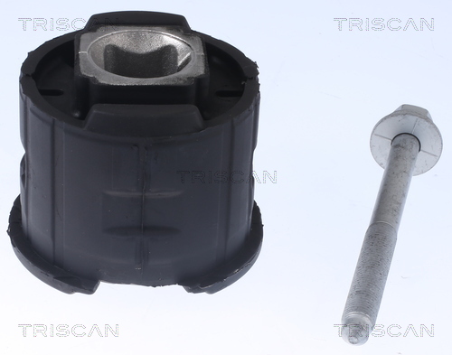 TRISCAN Lagerung, Achskörper