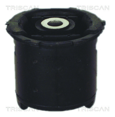 TRISCAN Lagerung, Achskörper