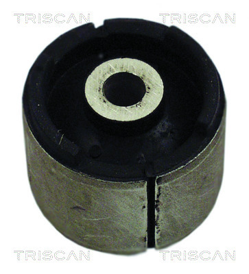 TRISCAN Lagerung, Lenker