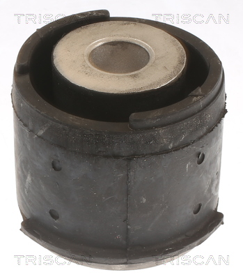 TRISCAN Lagerung, Achskörper