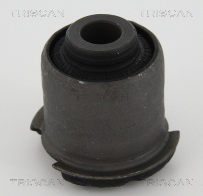 TRISCAN Lagerung, Lenker