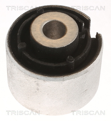 TRISCAN Lagerung, Lenker