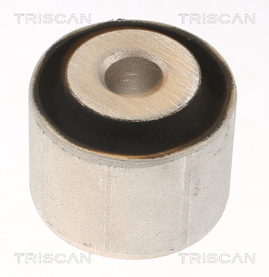 TRISCAN Lagerung, Lenker