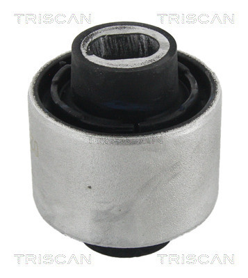 TRISCAN Lagerung, Lenker
