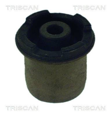 TRISCAN Lagerung, Lenker