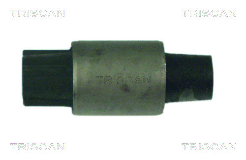 TRISCAN Lagerung, Lenker