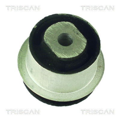 TRISCAN Lagerung, Lenker
