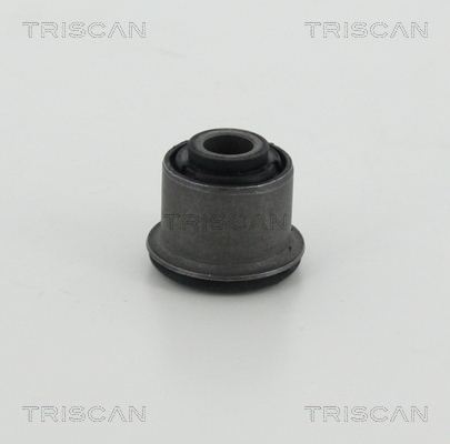 TRISCAN Lagerung, Lenker