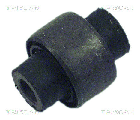 TRISCAN Lagerung, Lenker