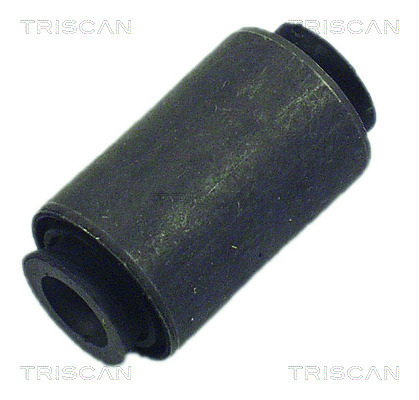 TRISCAN Lagerung, Lenker