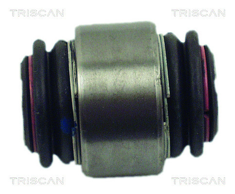 TRISCAN Lagerung, Lenker