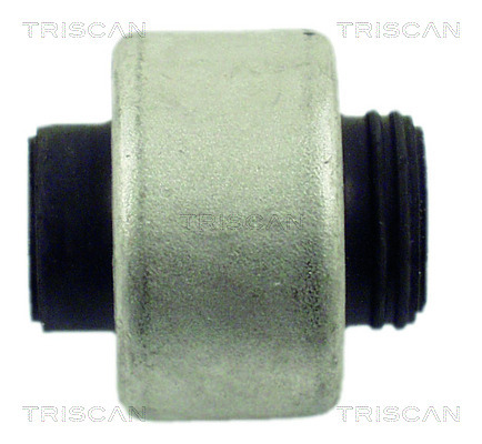 TRISCAN Lagerung, Lenker
