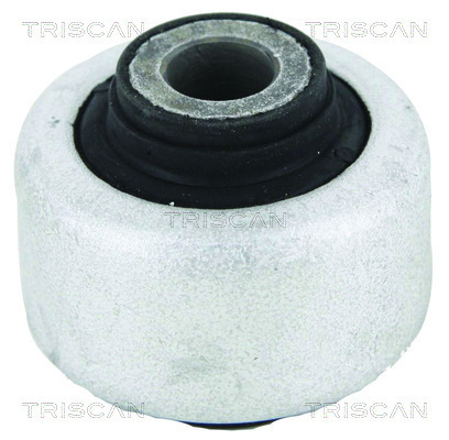 TRISCAN Lagerung, Lenker