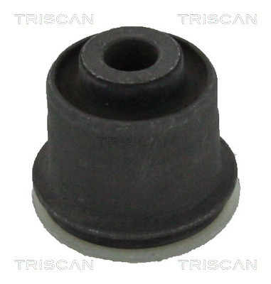 TRISCAN Lagerung, Lenker