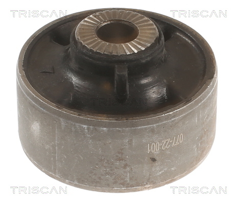 TRISCAN Lagerung, Lenker