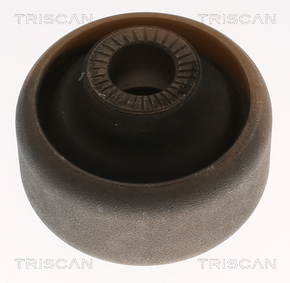 TRISCAN Lagerung, Lenker