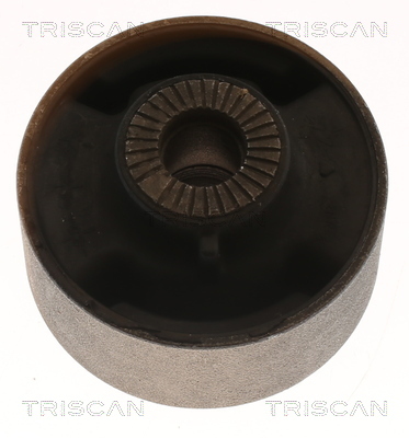 TRISCAN Lagerung, Lenker