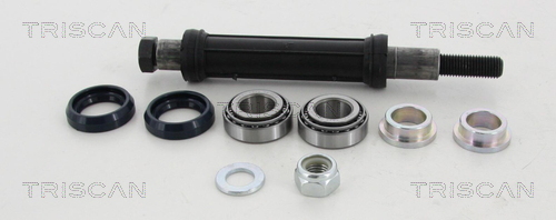 TRISCAN Reparatursatz, Querlenker