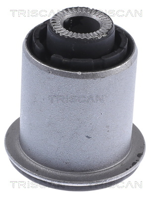TRISCAN Lagerung, Lenker