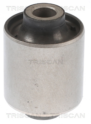 TRISCAN Lagerung, Lenker