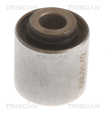 TRISCAN Lagerung, Lenker