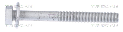 TRISCAN Befestigungsbolzen, Querlenker