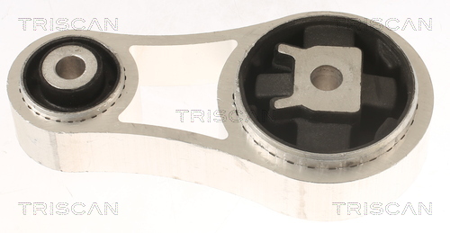 TRISCAN Lagerung, Motor