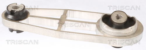 TRISCAN Lagerung, Motor