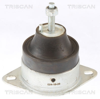 TRISCAN Lagerung, Motor