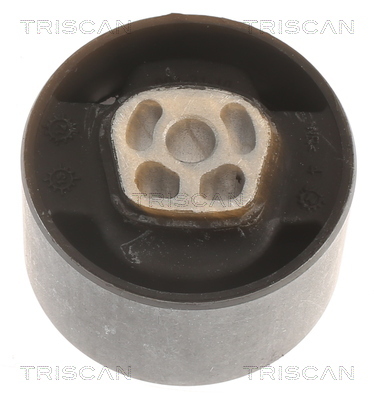 TRISCAN Lagerung, Motor