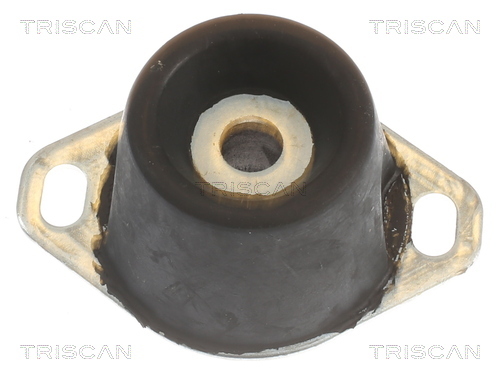 TRISCAN Lagerung, Motor