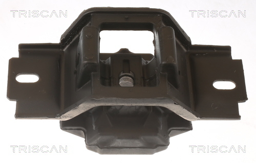 TRISCAN Lagerung, Motor