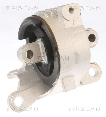 TRISCAN Lagerung, Motor