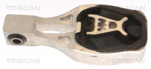 TRISCAN Lagerung, Motor
